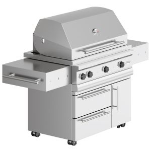 Kalamazoo Gas Grill | Barbecue