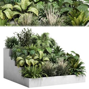 Collection Outdoor Indoor Plant 125 Stairs Concret