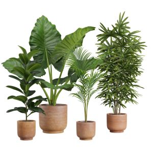 Indoor Plants Pack 26