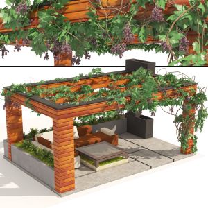 Grape Vine Pergola With Furniture