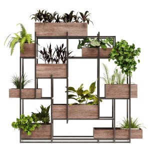 Stand Of Plants With Wood Boxes