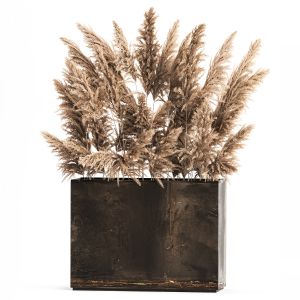 Decorative Pampas Grass In A Rusty Pot