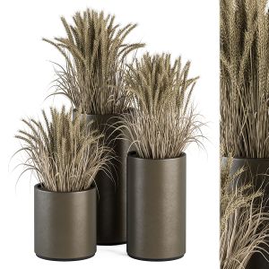 Outdoor Plant Set 315 - Big Wheat Bush