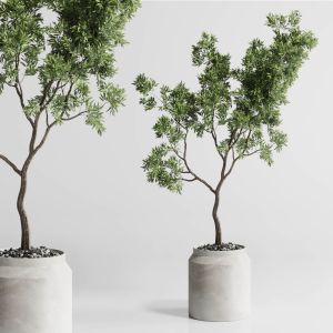 Indoor Plant 285 Concrete Dirt Vase Plant Tree Pot