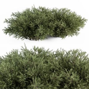 Needle Plant Bush - Bush Set 46