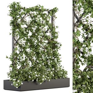 Vertical Garden - Outdoor Green Wall 36