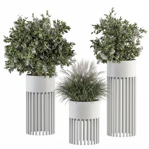 Indoor Plant Set 312 - Plant Set In Round Stand