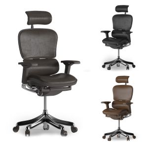 Ergohuman Office Chair 01