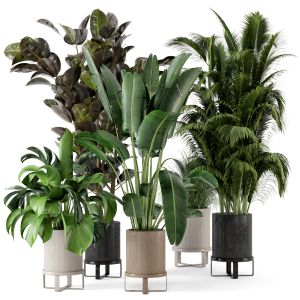 Indoor Plants In Ferm Living Bau Pot Large-set 206