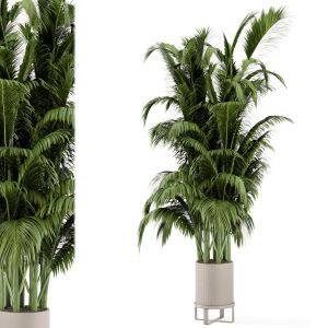 Indoor Plants In Ferm Living Bau Pot Large-set 207