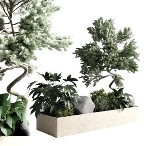 Bonsai Tree With Plants Set In The Garden 290