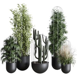 Indoor Plant Bamboo Palm Cactus Grass Stand Black