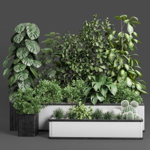 Indoor Plant Set 285 Concrete Box For Plant Garden