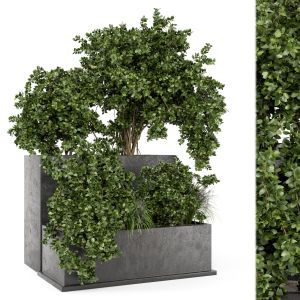 Outdoor Plant Box In Rusty Concrete Pot - Set 209