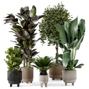 Indoor Plants In Standing Legs Pot - Set 212