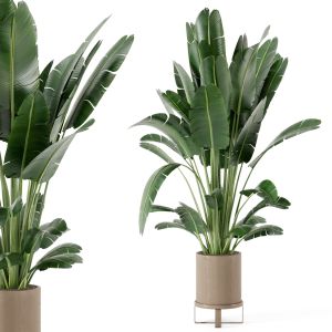 Indoor Plants In Ferm Living Bau Pot Large-set 213