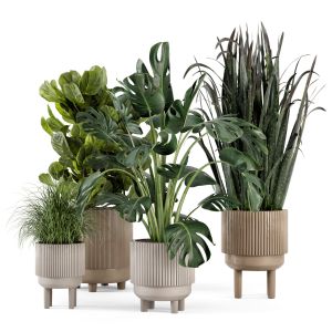 Indoor Plants In Standing Legs Pot - Set 214