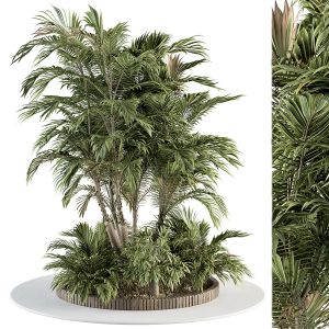 Garden Set - Outdoor Plants Set 317