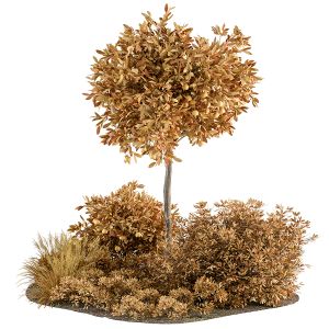 Fall Tree and Bush - Outdoor Garden Set 321