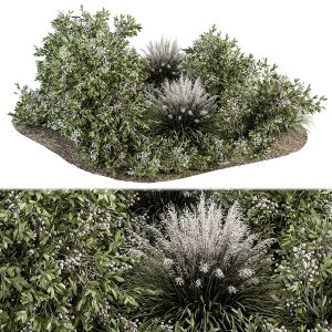 Green And White Bush - Outdoor Garden Set 325