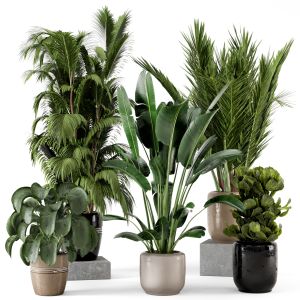 Indoor Plants  In Rusty Concrete Pot - Set 217