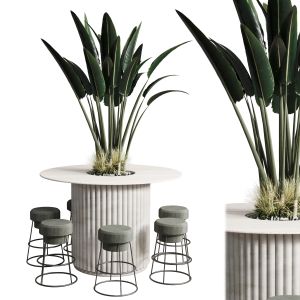 Plant In Dining Table Set 01