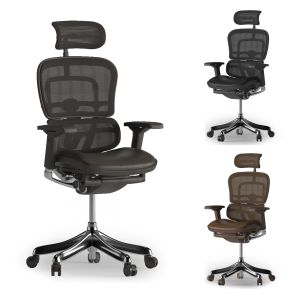 Ergohuman Office Chair 02