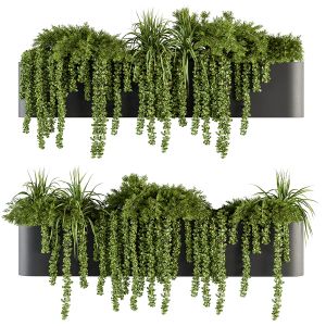 Indoor Plant Set 329 - Box Stand With Hanging Plan