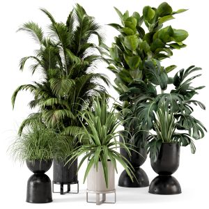 Indoor Plants In Ferm Living Bau Pot Large-set 220