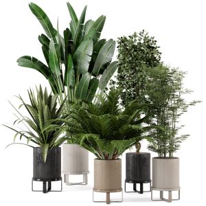 Indoor Plants In Ferm Living Bau Pot Large-set 224