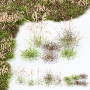 Grass-dry-set01