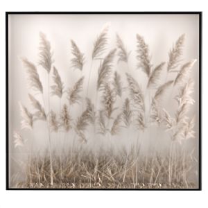 Phyto Box Pampas Grass, Dried Flowers Of Plants