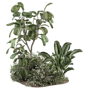 Garden Set Tree And Plants - Outdoor Plants 332