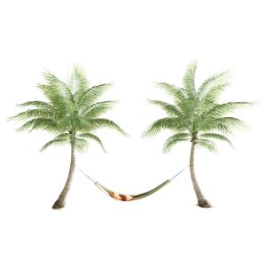 Hammock On Palm Trees