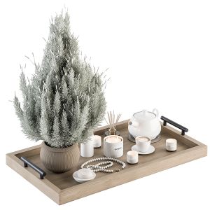 Decorative Set In Tray With Pine Plant - Set 89