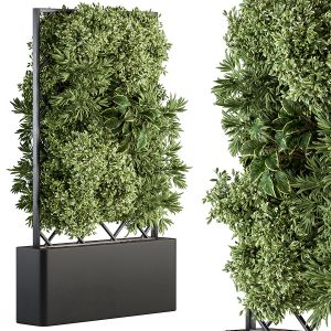 Vertical Garden - Outdoor Green Wall 40