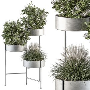 Indoor Plant Set 324 - Plant Set In Round Stand