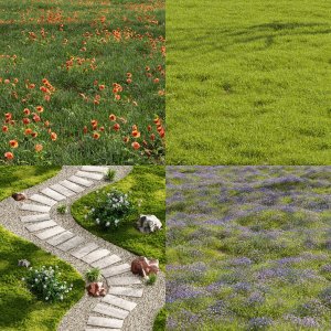 17 Different SETS of Grass. SET VOL06