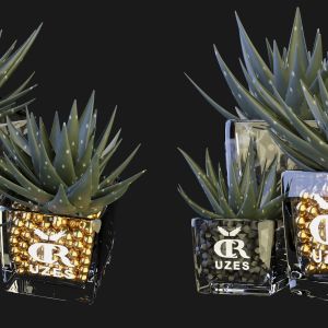 Collection Plant Vol 89 - Blender Model