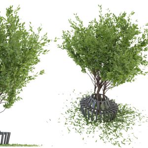 Collection Plant Vol 106 - Blender Model