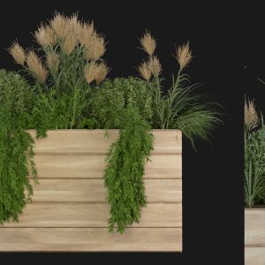 Collection Plant Vol 116 - Blender Model