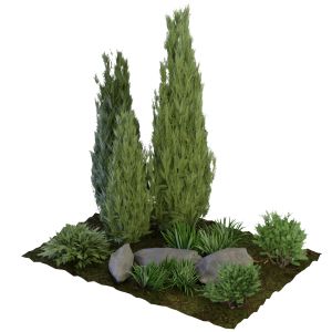 Collection Plant Vol 156 - Blender Model