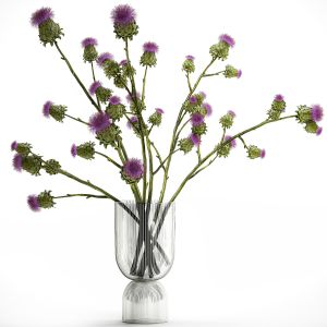 Beautiful Green Bouquet Of Thistle Thorn In A Vase