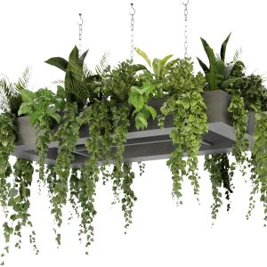 Collection Plant Vol 279 - Blender Model