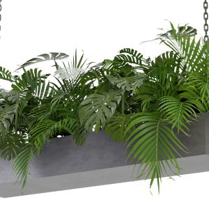 Collection Plant Vol 306 - Blender Model