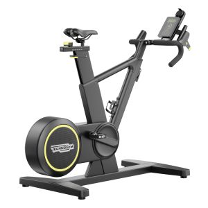 Technogym Skill Bike