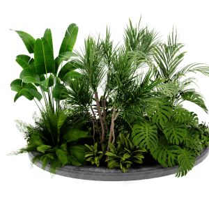 Collection Plant Vol 450 - Blender Model