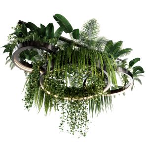 Indoor Plant Hanging Set48