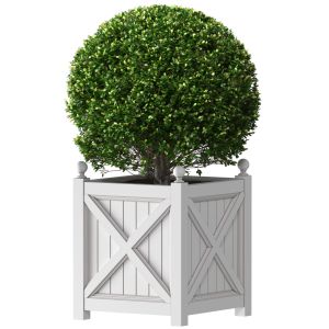 Boxwood In Porch Garden Planter. Front Entrance