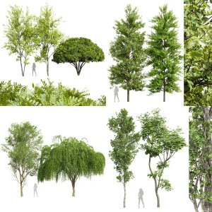 20 Different SETS of Trees. SET VOL07